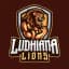 Ludhiana Lions Flag