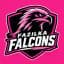 Fazilka Falcons Flag