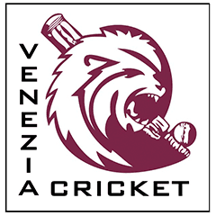 Team logo