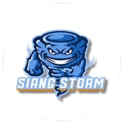 Team logo