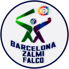 Team logo