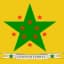 Geneva Eleven Stars Flag