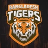 Team logo