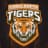 Bangladesh Tigers-logo