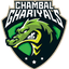 Team Logo