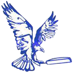 Team logo