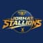 Jorhat Stallions Flag