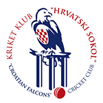 Team logo