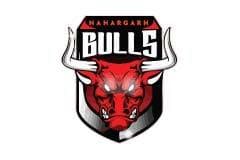 Team logo
