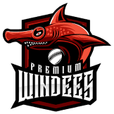 Team logo