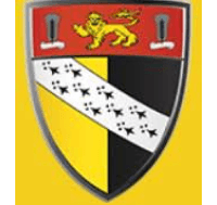 Team logo