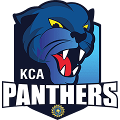 Team logo
