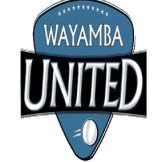 Team logo