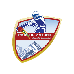 Team logo