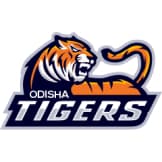 Team logo
