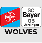 Team logo