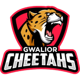 Team logo