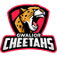 GC Logo