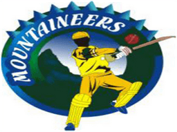 Team logo