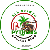 Team logo