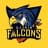 Ujjain Falcons-logo