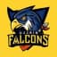 Ujjain Falcons Flag