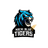 Kochi Blue Tigers Flag