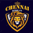 Chennai Kings CA Flag