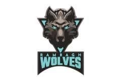 Team logo