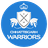 Chhattisgarh Warriors Flag
