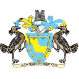 Team logo