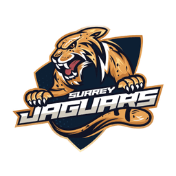 Team logo