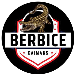 Team logo