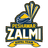 Peshawar Zalmi-logo