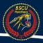 BSCU Panthers Flag