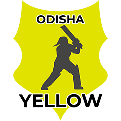 Team logo