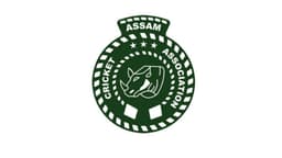 Team logo
