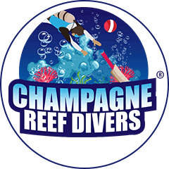 Team logo