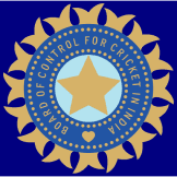 Team logo