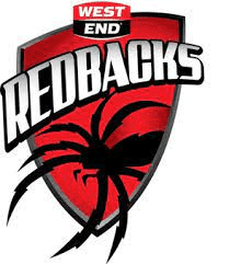Team logo