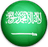Saudi Arabia-logo