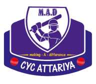Team logo