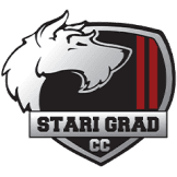 Team logo