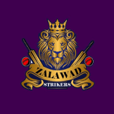 Team logo