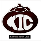 Team logo