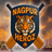 Nagpur Heroz Flag