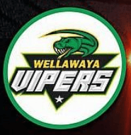 Team logo