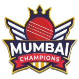 Team logo