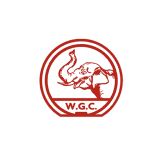 Team logo