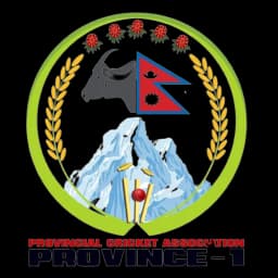 Team logo